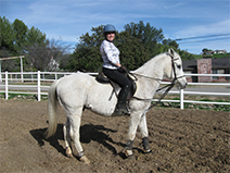 Sara Fogan - Choosing the right horse