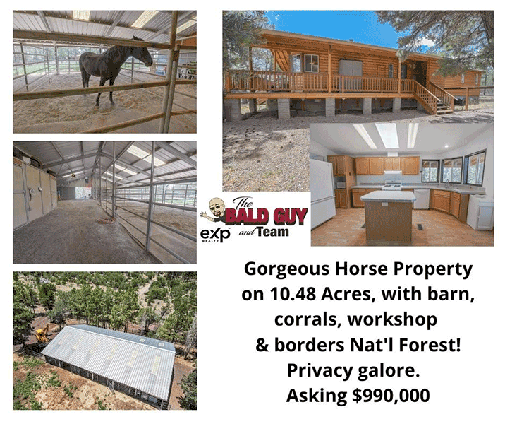AMAZING 10.48 acres Horse property bordering National Forest! Pinedale, Arizona