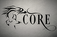 CORE Therapy - top of the line PEMF treatments and Sports Massage to help your equine companion feel and perform their best!