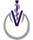 Equine Veterinary and Podiatry Services, Serving LA and Orange Counties
