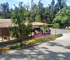 Rancho Vista Stables is a private equestrian facility located off Sycamore in Vista. This clean, quiet and relaxed center is designed to provide the perfect environment for you and your horse.