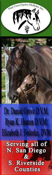 West Coast Equine Medicine, Inc. ~ Serving North San Diego Country ~ South Riverside County ~ California ~ Dr. Daniel H. Grove, DVM ~ Dr. Dawn Brown, DVM ~ Veterinary Medicine ~ On-call 24 hrs a day/7 days a week ~ Radiography and Motorized Dental Equipment ~ Ultra sound ~ advanced Reproductive Techniques